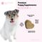 Show in main carousel: Snuggle Puppy Bites Gut Health Supplement Pumpkin Flavored Soft Chews, 60 count slide 5 of 10