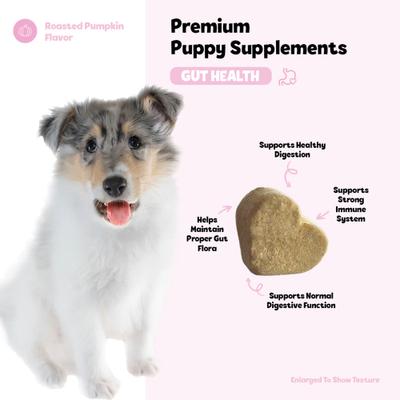 Show full view: Snuggle Puppy Bites Gut Health Supplement Pumpkin Flavored Soft Chews, 60 count slide 5 of 10