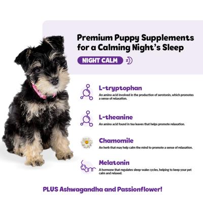 Show full view: Snuggle Puppy Bites Night Calm Supplement Turkey Flavored Soft Chews, 60 count slide 4 of 10