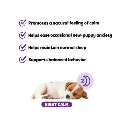 Show full view: Snuggle Puppy Bites Night Calm Supplement Turkey Flavored Soft Chews, 60 count slide 7 of 10