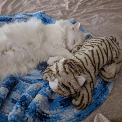 Show full view: Snuggle Puppy Original Snuggle Kitty Plush Cat Behavioral Aid Anxiety Relief, Tan Tiger slide 6 of 10