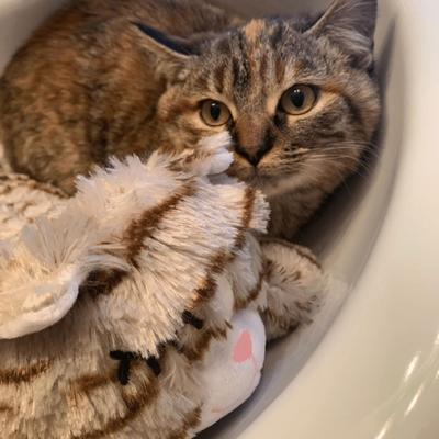 Show full view: Snuggle Puppy Original Snuggle Kitty Plush Cat Behavioral Aid Anxiety Relief, Tan Tiger slide 7 of 10