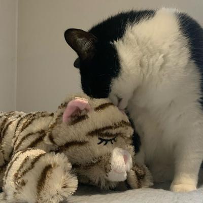 Show full view: Snuggle Puppy Original Snuggle Kitty Plush Cat Behavioral Aid Anxiety Relief, Tan Tiger slide 8 of 10