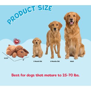 Snuggle Puppy Original Snuggle Puppy Medium Breeds Behavioral Aid Anxiety Relief with Heartbeat, Biscuit