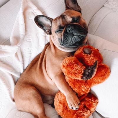 Show full view: Snuggle Puppy Original Snuggle Puppy Plush Dog Behavioral Aid Anxiety Relief, Brown Mutt slide 7 of 12