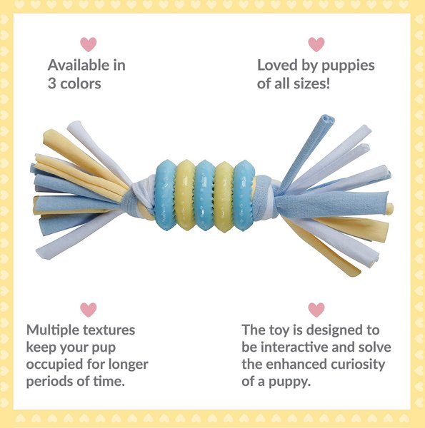 Snuggle Puppy Rings with Rope Puppy Chew Toy, Small