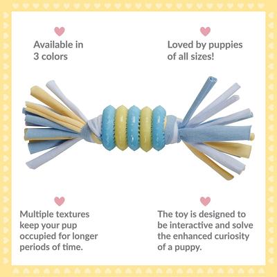Show full view: Snuggle Puppy Rings with Rope Puppy Chew Toy, Small, Blue slide 2 of 7