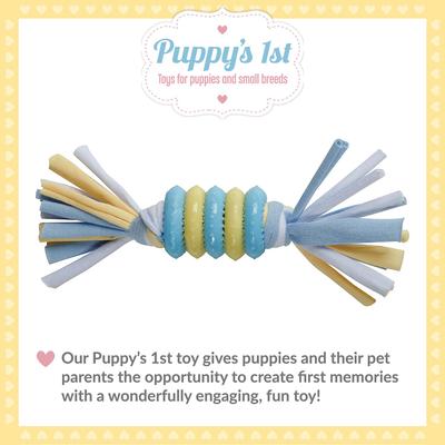 Show full view: Snuggle Puppy Rings with Rope Puppy Chew Toy, Small, Blue slide 3 of 7