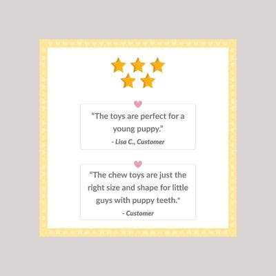 Show full view: Snuggle Puppy Rings with Rope Puppy Chew Toy, Small, Blue slide 5 of 7