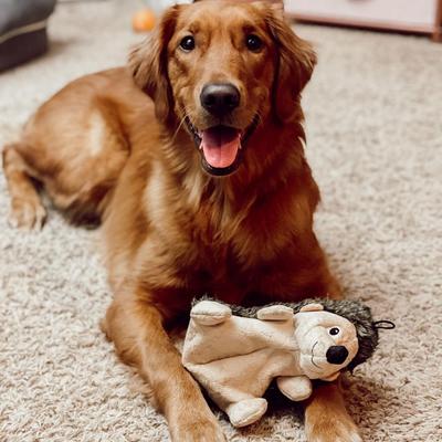 Show full view: Snuggle Puppy Tender Tuff Hedgehog Squeaky Plush Dog Toy, Large slide 5 of 8