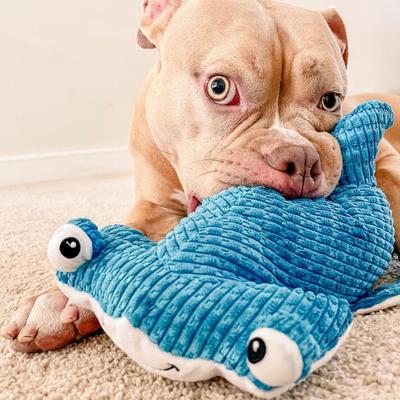 Show full view: Snuggle Puppy Tender-Tuffs Hammerhead Shark Tough Squeaky Dog Toy, Large, Blue slide 6 of 9