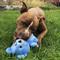 Show in main carousel: Snuggle Puppy Tender-Tuffs Soft Bear Dog Comfort Toy, Blue slide 6 of 8