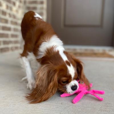 Show full view: Snuggle Puppy Tender-Tuffs Tiny Octopus Dog Toy, Small, Pink slide 6 of 9