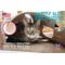 Show in main carousel: SnugglyCat Ripple Rug Cat Activity Play Mat, Beige slide 3 of 11