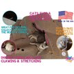 SNUGGLYCAT Ripple Rug Cat Activity Play Mat, Beige - Chewy.com