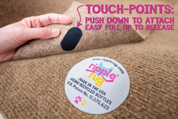 SNUGGLYCAT Ripple Rug Cat Activity Play Mat, Beige - Chewy.com