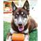 Show in main carousel: SodaPup Can Treat Dispenser Dog Toy, Orange, X-Large slide 9 of 10