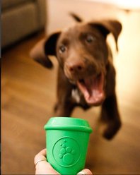 SodaPup Coffee Cup Rubber Treat Dispenser Dog Toy, Green, Medium slide 2 of 9