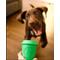 Show in main carousel: SodaPup Coffee Cup Rubber Treat Dispenser Dog Toy, Green, Medium slide 2 of 9