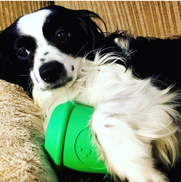 SodaPup Football Rubber Treat Dispenser Dog Toy