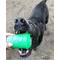 Show in main carousel: SodaPup Coffee Cup Treat Dispensing Tough Dog Chew Toy, Green, Large slide 6 of 10