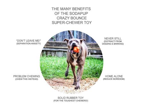 Show full view: SodaPup Crazy Bounce Retrieving Tough Dog Chew Toy, Orange, Large slide 3 of 7