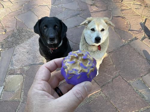 Show full view: SodaPup Cross Bones Treat Pocket Dog Toy slide 7 of 10