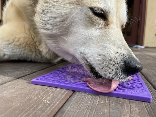 Show full view: SodaPup Emat Bones Dog Lick Mat, Purple slide 2 of 10
