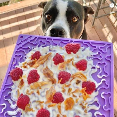 Show full view: SodaPup Emat Bones Dog Lick Mat, Purple slide 4 of 10