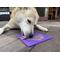 Show in main carousel: SodaPup Emat Bones Dog Lick Mat, Purple slide 6 of 10