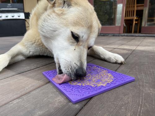Show full view: SodaPup Emat Bones Dog Lick Mat, Purple slide 6 of 10