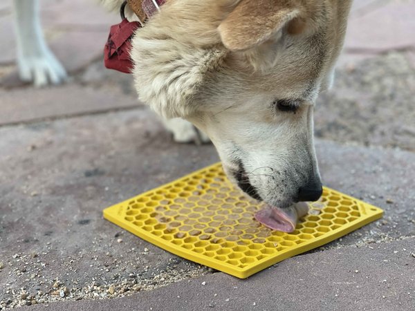 SodaPup Emat Honeycomb Dog Lick Mat