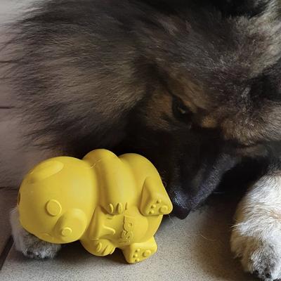 Show full view: SodaPup Honey Bear Rubber Treat Dispenser Dog Toy, Large slide 5 of 9