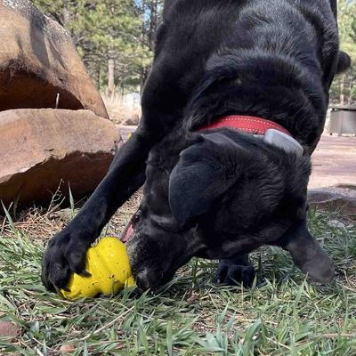 Show full view: SodaPup Honey Bear Rubber Treat Dispenser Dog Toy, Large slide 7 of 9