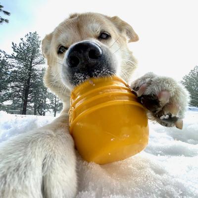 Show full view: SodaPup Honey Pot Tough Dog Treat Dispenser Toy, Yellow, Medium/Large slide 7 of 8