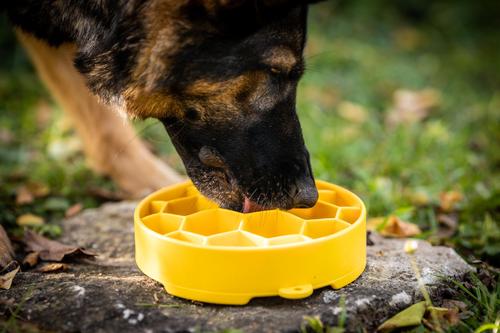 Show full view: SodaPup Honeycomb Slow Feeder Dog Bowl, Yellow, Large slide 4 of 8