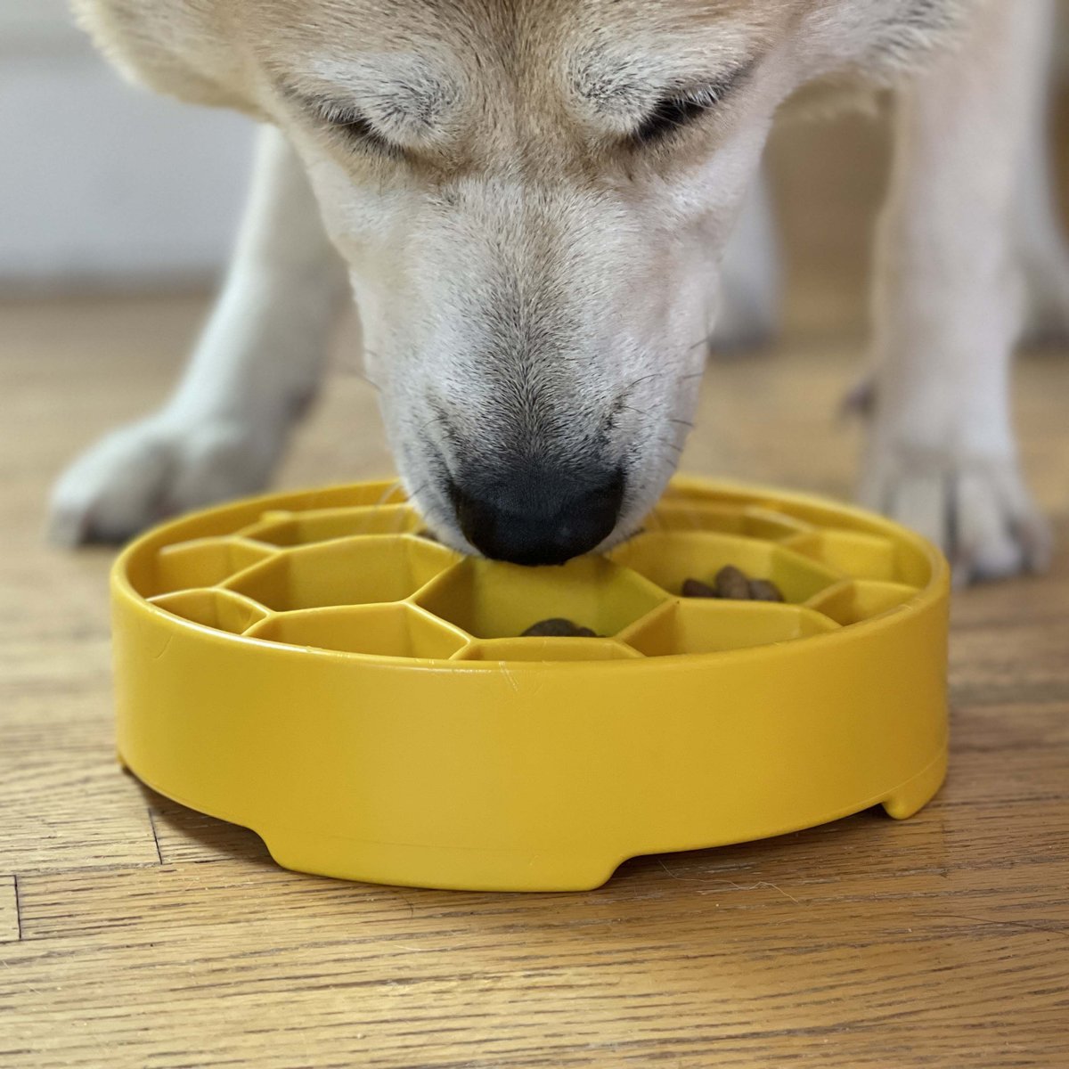 SodaPup Flower Ebowl Dog Slow Feeder, Pink, 4-cup