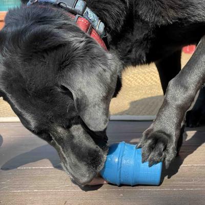 Show full view: SodaPup Ice Cream Cone Treat Dispenser Dog Toy, Blue, Medium slide 5 of 10