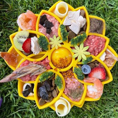 Show full view: SodaPup Mandala Shallow Slow Dog Feeder, Large, Yellow slide 3 of 7