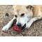 Show in main carousel: SodaPup Nylon Cherry Pie Chew & Enrichment Dog Toy slide 5 of 10
