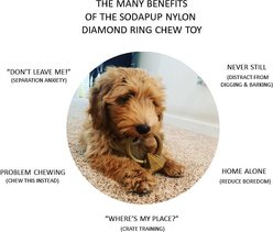 SodaPup Nylon Diamond Teething Ring Chew Dog Toy slide 2 of 8