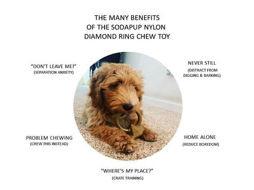 Show full view: SodaPup Nylon Diamond Teething Ring Chew Dog Toy slide 2 of 9