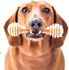 SodaPup Nylon Honey Bone Chew Dog Toy, Large slide 2 of 8