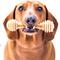 Show in main carousel: SodaPup Nylon Honey Bone Chew Dog Toy, Large slide 3 of 10
