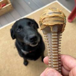 SodaPup Nylon Honey Bone Dental Tower Chew Dog Toy slide 2 of 8