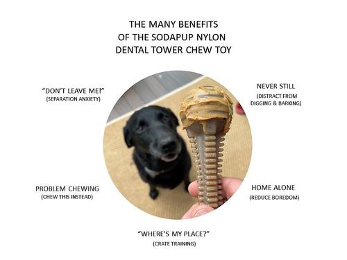 Show full view: SodaPup Nylon Honey Bone Dental Tower Chew Dog Toy slide 4 of 9