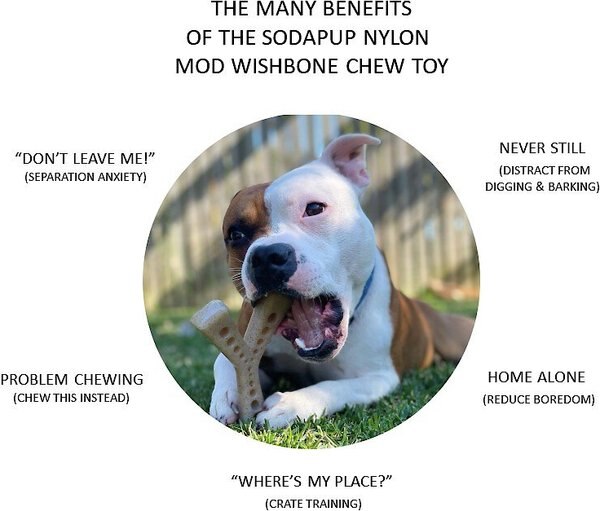 SodaPup Nylon Shovel Chew Dog Toy