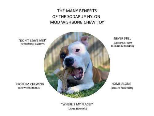 Show full view: SodaPup Nylon Mod Wishbone Chew & Enrichment Dog Toy slide 3 of 9