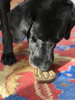 Show full view: SodaPup Nylon Peanut Chew & Enrichment Dog Toy slide 4 of 9