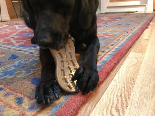 Show full view: SodaPup Nylon Peanut Chew & Enrichment Dog Toy slide 7 of 9